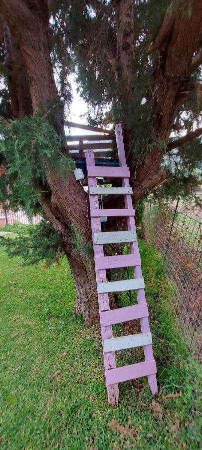 The Seasons Of Nickolas Agia Efimia エクステリア 写真